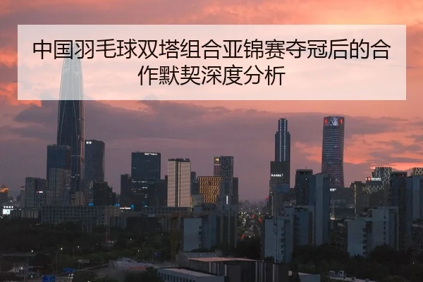 中国羽毛球双塔组合亚锦赛夺冠后的合作默契深度分析